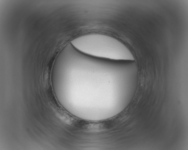 X0000082140314200701191004