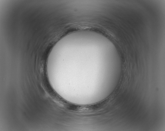X0000082140315200701191004