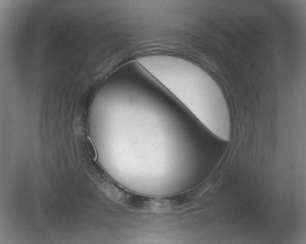 X0000082140317200701191004