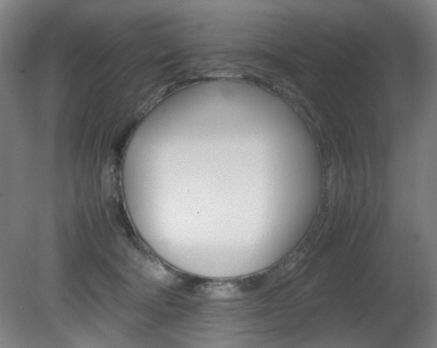 X0000082140322200701191004