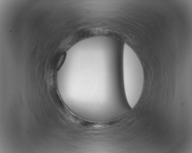 X0000082140323200701191004