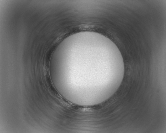 X0000082140324200701191004