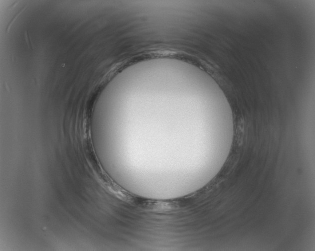 X0000082140330200701191004