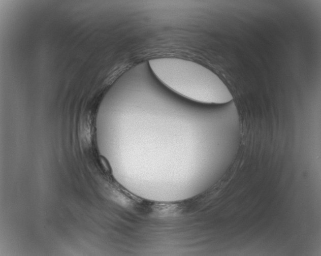 X0000082140334200701191004