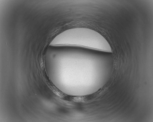 X0000082140335200701191004