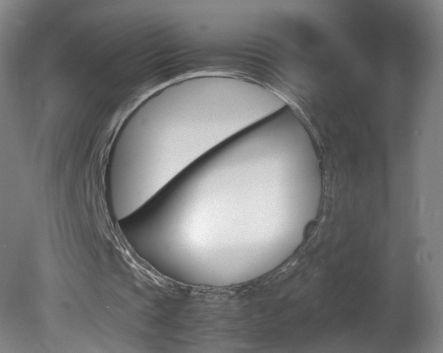 X0000082140337200701191003