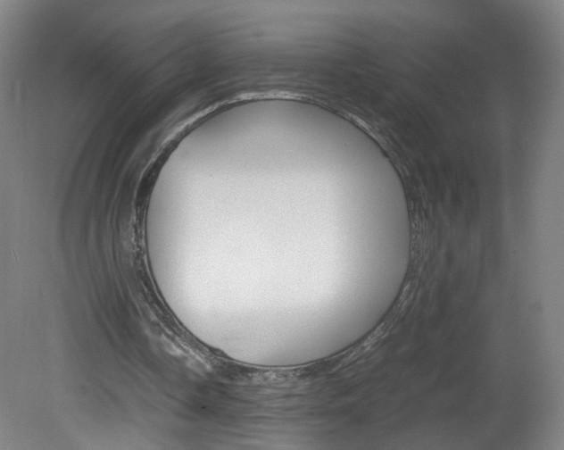 X0000082140338200701191003