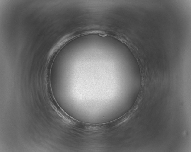 X0000082140341200701191003