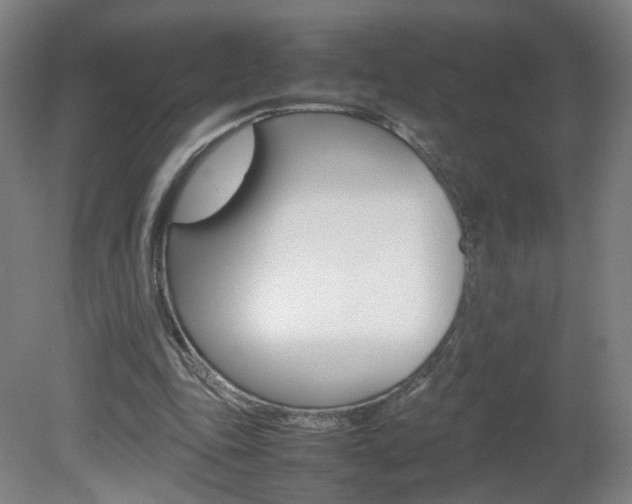 X0000082140343200701191003