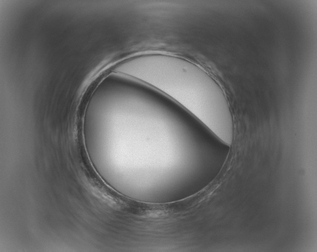 X0000082140344200701191003