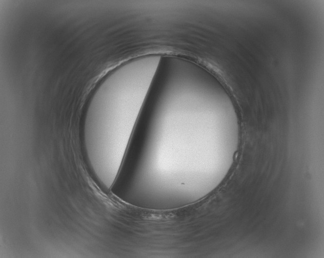 X0000082140345200701191003