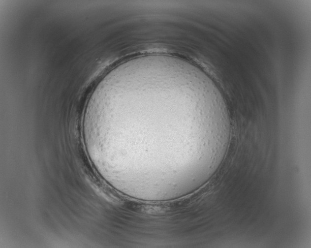 X0000082140347200701191003