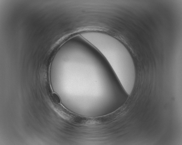 X0000082140348200701191003