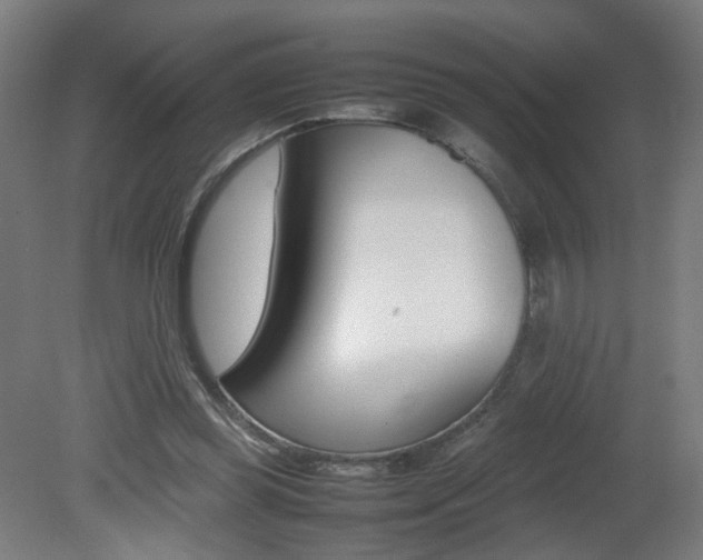 X0000082140349200701191003