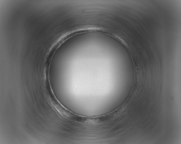 X0000082140350200701191003