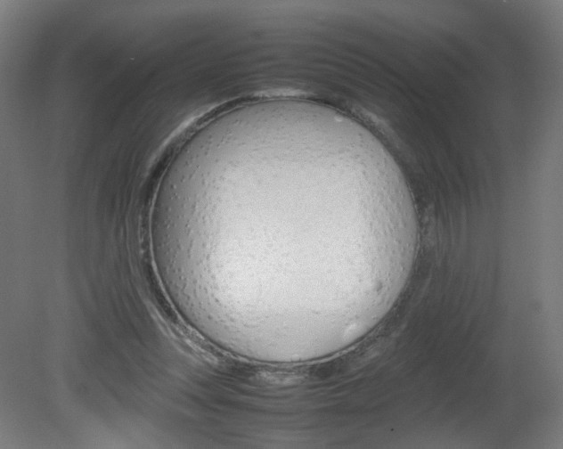 X0000082140351200701191003