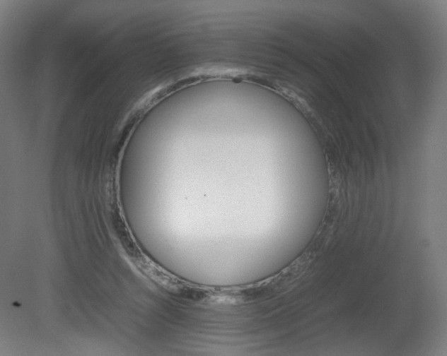 X0000082140352200701191003