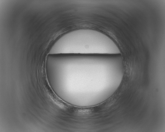 X0000082140357200701191004