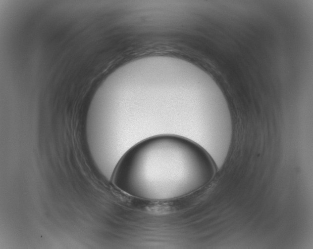 X0000082140362200701191004