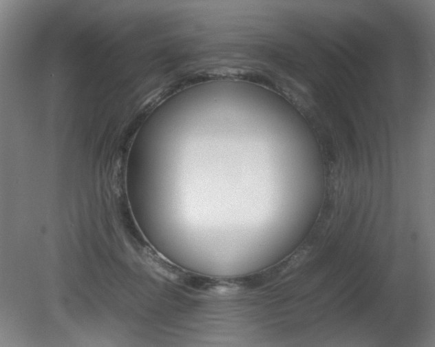 X0000082140364200701191004