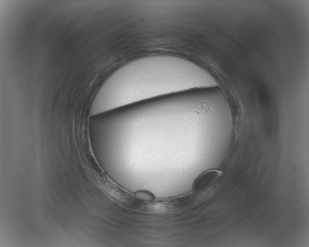 X0000082140365200701191004