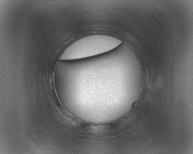 X0000082140367200701191004