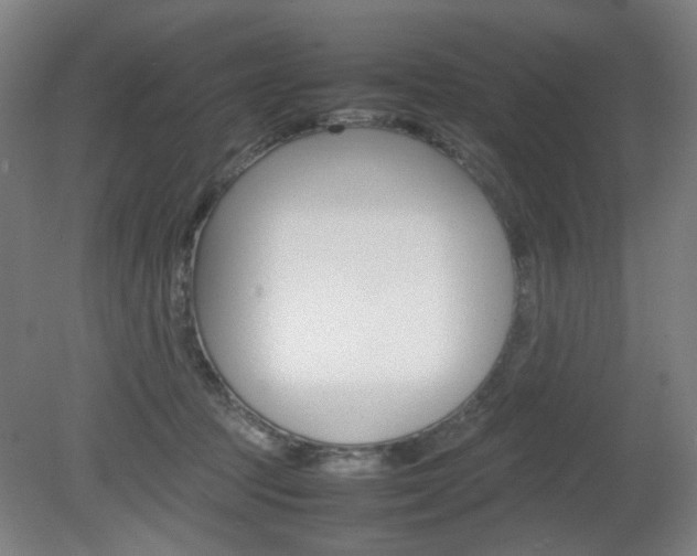 X0000082140369200701191004