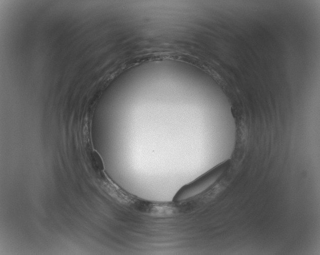 X0000082140376200701191004