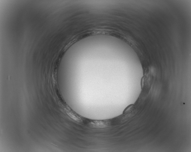 X0000082140381200701191004