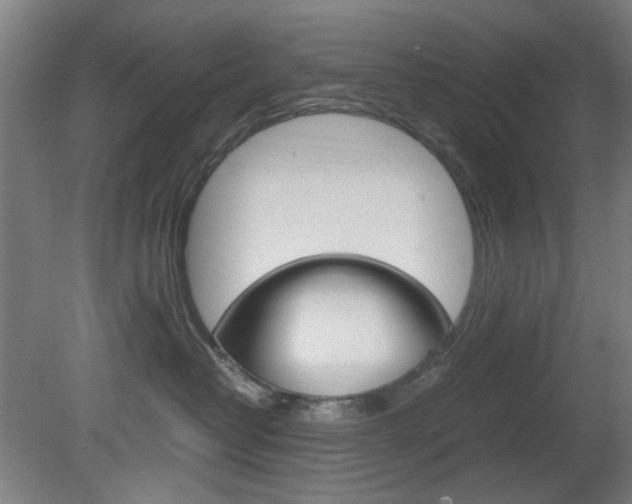 X0000082140382200701191004