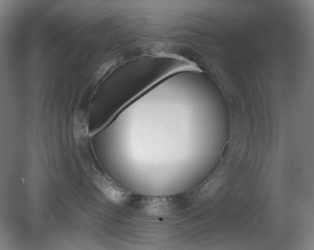 X0000082140384200701191004
