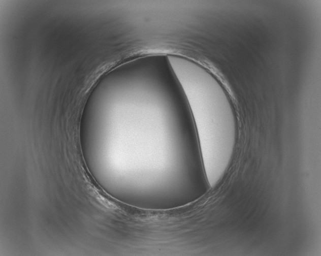 X0000082140385200701191003