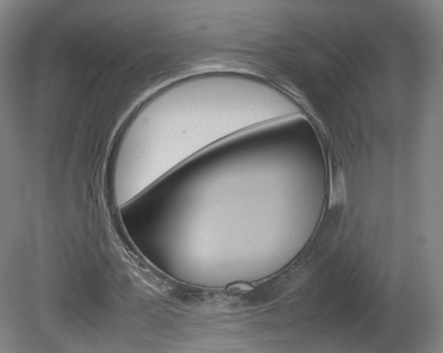 X0000082140387200701191003