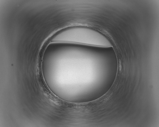 X0000082140388200701191003