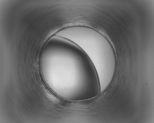 X0000082140389200701191003