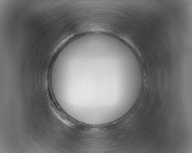 X0000082140390200701191003