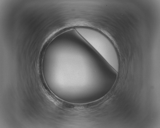 X0000082140391200701191003
