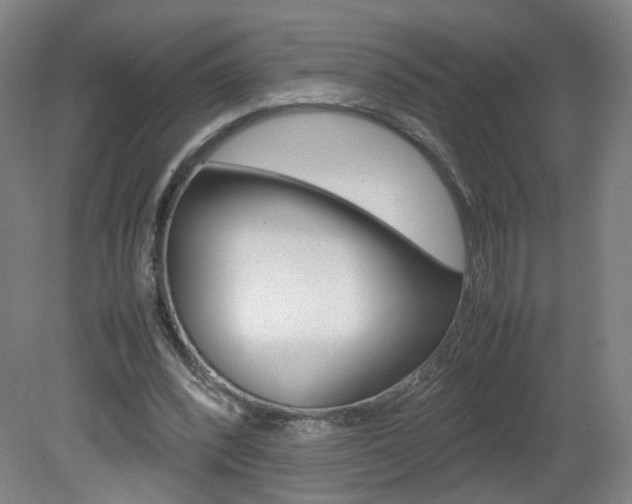 X0000082140392200701191003