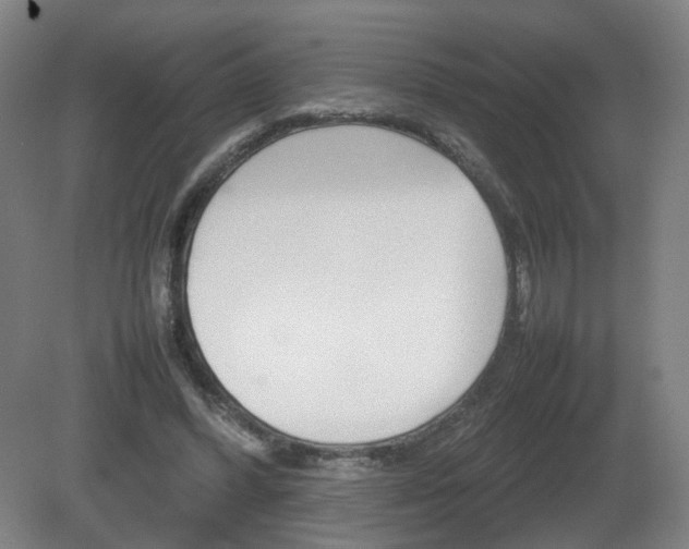 X0000082140396200701191003