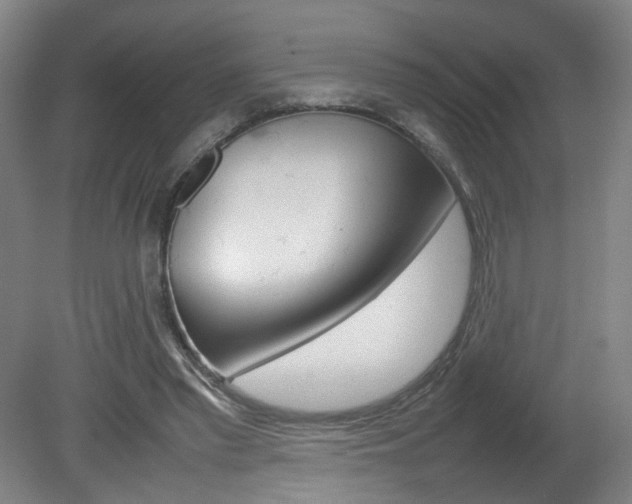 X0000082140397200701191003