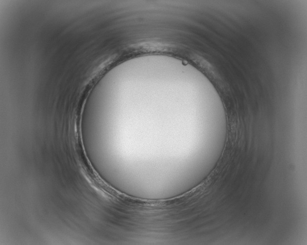 X0000082140398200701191003