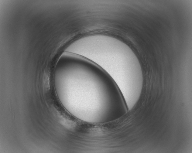 X0000082140404200701191003