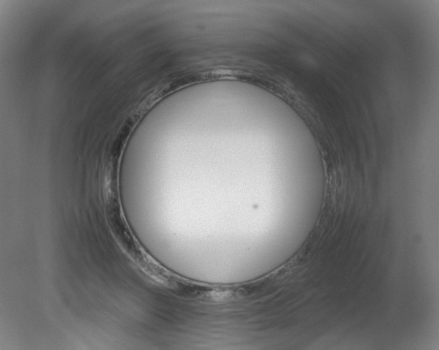 X0000082140406200701191003