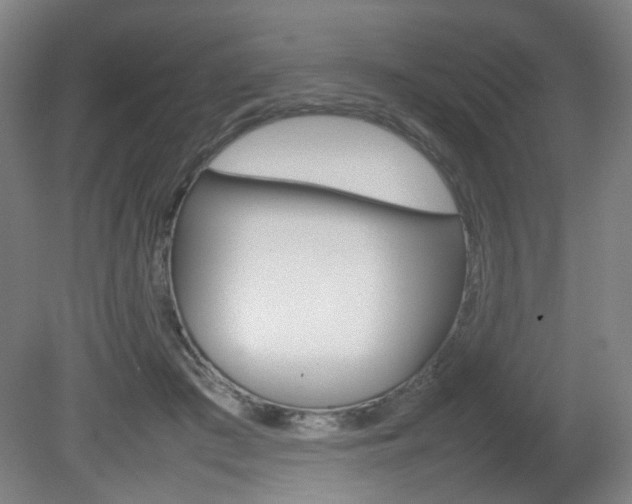 X0000082140409200701191003