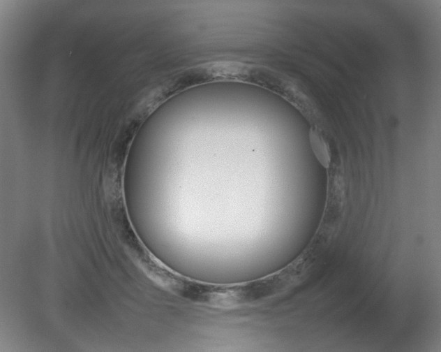X0000082140411200701191003