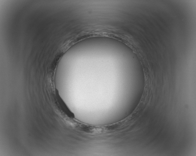 X0000082140415200701191003