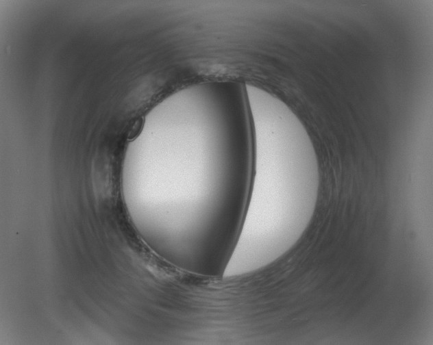 X0000082140416200701191003