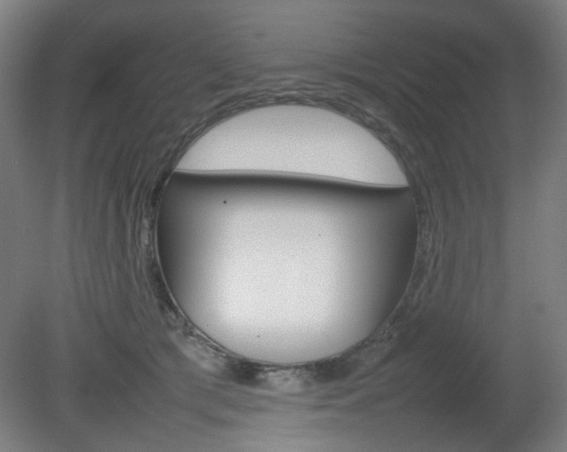 X0000082140417200701191003