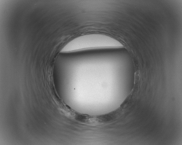 X0000082140423200701191003