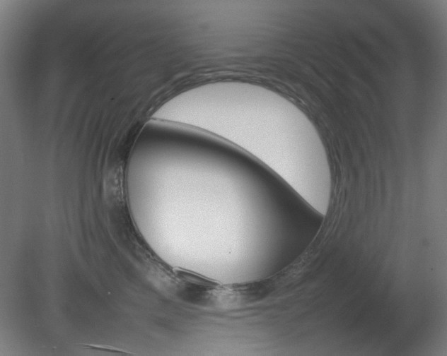 X0000082140425200701191003